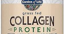 Garden of Life Grass Fed Collagen Protein Powder - Chocolate, 14 Servings, Collagen Powder for Joints Mobility Muscle Repair, Collagen Peptides Super Seeds Coconut MCTs, Keto Collagen Supplements