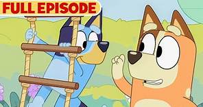 Bluey Full Episode | Obstacle Course | S3 E2 | Full Episode | @disneyjunior