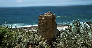 Wilder Ranch State Park - Moment in Nature from Santa Cruz County