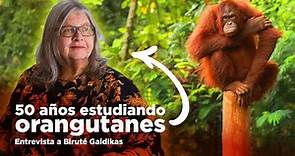 "Los orangutanes están al borde de la extinción" | Entrevista a Biruté Galdikas, primatóloga