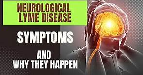 Neurological Lyme Symptoms And Why They Happen
