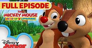 Dale's New Pal | S1 E32 | Full Episode | Mickey Mouse: Mixed-Up Adventures | @disneyjunior