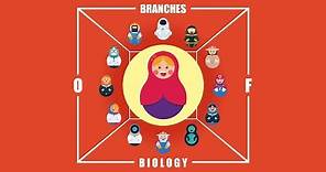 What are the Branches of Biology?