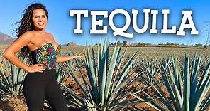 TEQUILA Jalisco El MEJOR tour y más COMPLETO Ruta del Tequila
