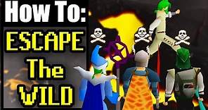 A Guide To Escaping The Wild In Old School Runescape