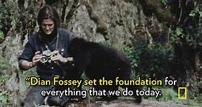 Dian Fossey's Legacy Lives On