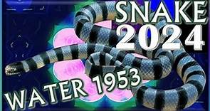 Snake Horoscope 2024 | Water Snake 1953 | February 14, 1953 to February 2, 1954