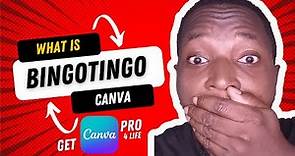 What is Bingotingo Canva | Step by Step Explanation 2024