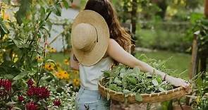 "Green Haven Chronicles: Discover the Joy of Gardening | Tips, Techniques, and Inspiration"
