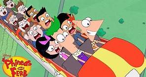 Rollercoaster | Phineas and Ferb | Disney XD