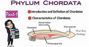 Part-1 Introduction and Definition of Chordates|Characteristics of Chordates|M.sc B.sc Zoology| NEET