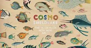 Cosmo Sheldrake - Beetroot Kvass