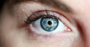 How Did Blue Eyes Evolve?