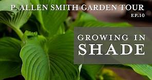 Growing in Shade | Garden Tour of Prather House: P. Allen Smith (2019)