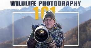 TOP TIPS to get into WILDLIFE PHOTOGRAPHY. Learn from a professional!