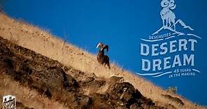 "Desert Dream” (Trailer) - Official Selection, 2023 Full Draw Film Tour