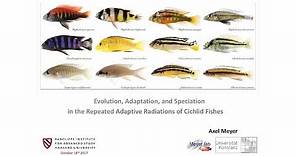 Evolution, Speciation, and Adaptation of Cichlid Fish | Axel Meyer || Radcliffe Institute