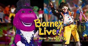 Barney Live! in New York City (1994) [VHS] - full in HD