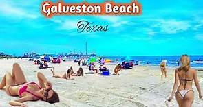 Walking in Galveston Beach and Seawall Boulevard Road in Galveston, Texas USA (South of Houston)