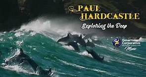PAUL HARDCASTLE The Best Selection of Smooth Jazz and Chill Music