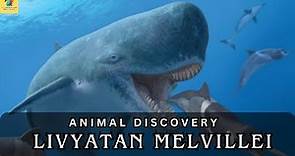 Livyatan Melvillei: Leviathan of the Ancient Seas