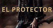 El protector - película: Ver online completa en español
