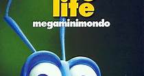 A Bug's Life - Megaminimondo - streaming online