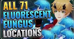 ALL 71 FLUORESCENT FUNGUS LOCATIONS! (DETAILED + EFFICIENT ROUTE!) Genshin Impact Farming Route