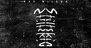 Ray Wilson and Stiltskin | "She" album non-stop megamix 2021 | 15th anniversary celebration