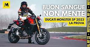 Ducati Monster SP 2023: la prova in strade e in pista! || Motofestival my2023