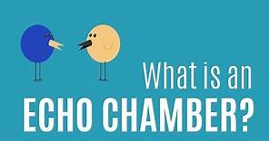 What is an Echo Chamber?