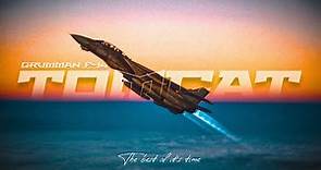 Grumman F-14 Tomcat - The Best of it's Time