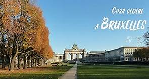 Viaggio a BRUXELLES - Cosa vedere assolutamente, itinerario di viaggio in 4K