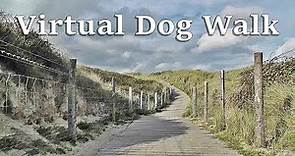 Dog Walk TV : TV for Dogs - Virtual Dog Walk at The Beach