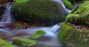 Rocky Fork State Park