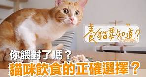 【養貓要知道EP2】貓咪怎麼吃才對？乾飼料、貓罐頭、鮮食、生食，怎麼選？