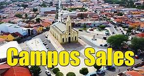 Campos Sales / CE - Imagens Aéreas