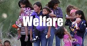 How much do illegal immigrants take in welfare?