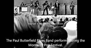 Paul Butterfield Blues Band -Losing Hand (Live)