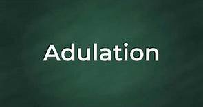 Adulation : Definition, Pronunciation, Examples, Synonyms