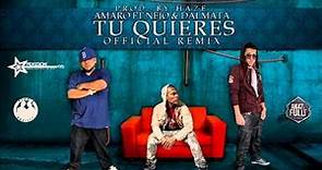 Amaro Ft. Ñejo & Dalmata -- Tu Quieres (Official Remix) (Prod. By Haze)