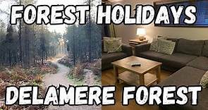 Forest Holidays Delamere Forest Complete Visitor Guide and Review