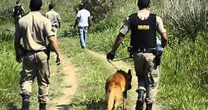 Polícia realiza buscas no matagal para encontrar suspeito de crime que chocou Leopoldina