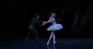 Swan Lake – End of Act II (Lauren Cuthbertson; The Royal Ballet)