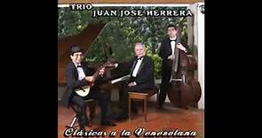 Trio Juan Jose Herrera - Vals Op.64, No. 2