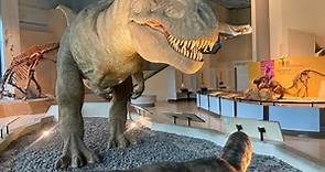 台中國立自然科學博物館 恐龍廳完整全紀錄開箱