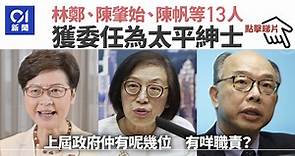 政府委任13名太平紳士　林鄭月娥、陳帆和陳肇始有份