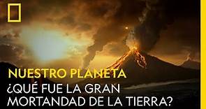 ¿Qué fue la Gran Mortandad de la Tierra? | NATIONAL GEOGRAPHIC ESPAÑA