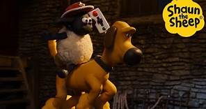 Shaun the Sheep 🐑 Bitzer the Riding Dog - Cartoons for Kids 🐑 Full Episodes Compilation [1 hour]