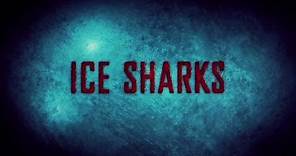 Ice Sharks Trailer Bizzarro Movie by Film&Clips